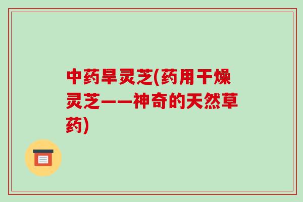中药旱灵芝(药用干燥灵芝——神奇的天然草药)-第1张图片-破壁灵芝孢子粉研究指南 中药旱灵芝(药用干燥灵芝——神奇的天然草药)-第1张图片-破壁灵芝孢子粉研究指南