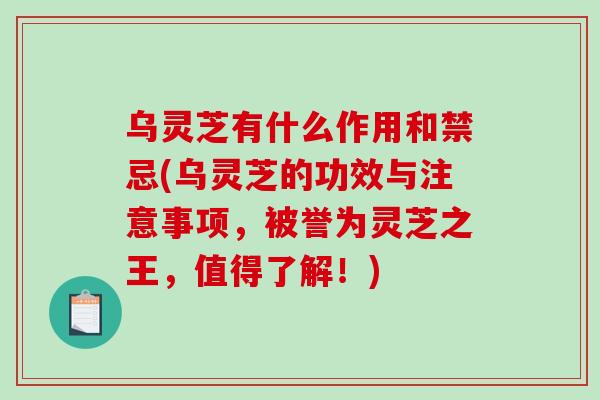 乌灵芝有什么作用和禁忌(乌灵芝的功效与注意事项,被誉为灵芝之王,值得了解!)-第1张图片-破壁灵芝孢子粉研究指南 乌灵芝有什么作用和禁忌(乌灵芝的功效与注意事项,被誉为灵芝之王,值得了解!)-第1张图片-破壁灵芝孢子粉研究指南