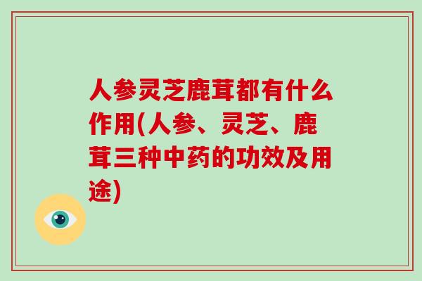 人参灵芝鹿茸都有什么作用(人参、灵芝、鹿茸三种中药的功效及用途)-第1张图片-破壁灵芝孢子粉研究指南 人参灵芝鹿茸都有什么作用(人参、灵芝、鹿茸三种中药的功效及用途)-第1张图片-破壁灵芝孢子粉研究指南