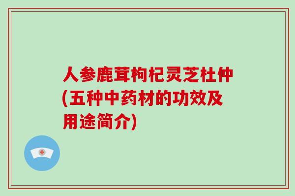 人参鹿茸枸杞灵芝杜仲(五种中药材的功效及用途简介)-第1张图片-破壁灵芝孢子粉研究指南 人参鹿茸枸杞灵芝杜仲(五种中药材的功效及用途简介)-第1张图片-破壁灵芝孢子粉研究指南
