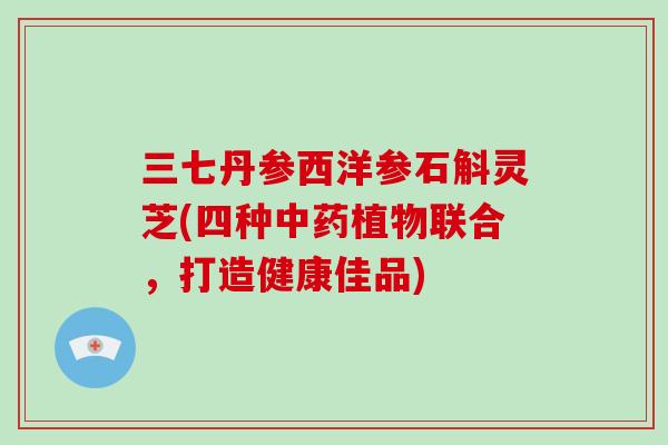 三七丹参西洋参石斛灵芝(四种中药植物联合,打造健康佳品)-第1张图片-破壁灵芝孢子粉研究指南 三七丹参西洋参石斛灵芝(四种中药植物联合,打造健康佳品)-第1张图片-破壁灵芝孢子粉研究指南