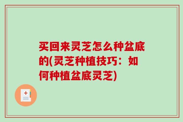 买回来灵芝怎么种盆底的(灵芝种植技巧:如何种植盆底灵芝)-第1张图片-破壁灵芝孢子粉研究指南 买回来灵芝怎么种盆底的(灵芝种植技巧:如何种植盆底灵芝)-第1张图片-破壁灵芝孢子粉研究指南