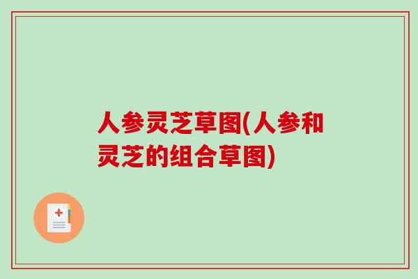 人参灵芝草图(人参和灵芝的组合草图)-第1张图片-破壁灵芝孢子粉研究指南