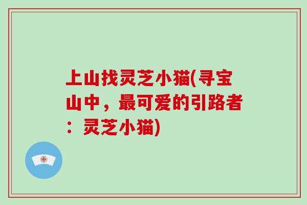 上山找灵芝小猫(寻宝山中，最可爱的引路者：灵芝小猫)-第1张图片-破壁灵芝孢子粉研究指南