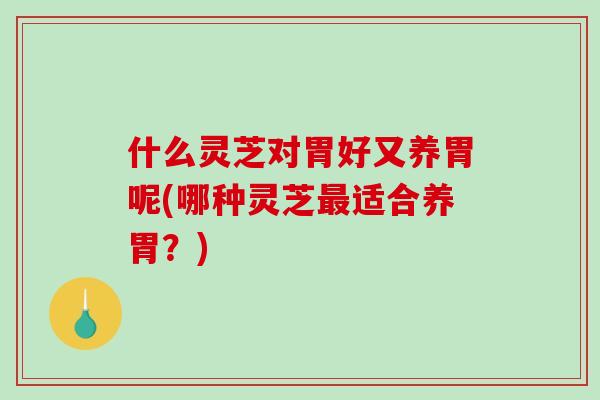 什么灵芝对胃好又养胃呢(哪种灵芝最适合养胃?)-第1张图片-破壁灵芝孢子粉研究指南 什么灵芝对胃好又养胃呢(哪种灵芝最适合养胃?)-第1张图片-破壁灵芝孢子粉研究指南