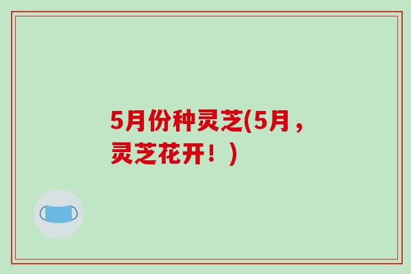 5月份种灵芝(5月,灵芝花开!)-第1张图片-破壁灵芝孢子粉研究指南 5月份种灵芝(5月,灵芝花开!)-第1张图片-破壁灵芝孢子粉研究指南
