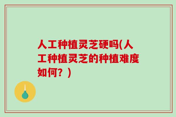 人工种植灵芝硬吗(人工种植灵芝的种植难度如何?)-第1张图片-破壁灵芝孢子粉研究指南 人工种植灵芝硬吗(人工种植灵芝的种植难度如何?)-第1张图片-破壁灵芝孢子粉研究指南