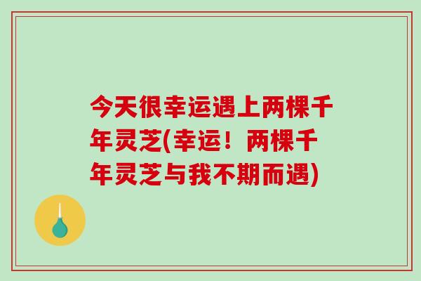 今天很幸运遇上两棵千年灵芝(幸运!两棵千年灵芝与我不期而遇)-第1张图片-破壁灵芝孢子粉研究指南 今天很幸运遇上两棵千年灵芝(幸运!两棵千年灵芝与我不期而遇)-第1张图片-破壁灵芝孢子粉研究指南