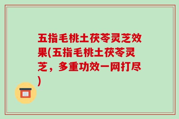 五指毛桃土茯苓灵芝效果(五指毛桃土茯苓灵芝，多重功效一网打尽)-第1张图片-破壁灵芝孢子粉研究指南
