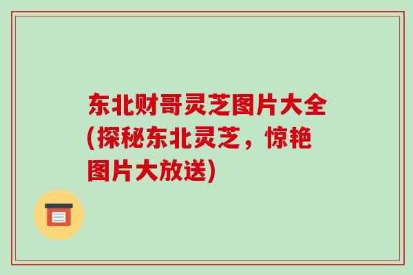 东北财哥灵芝图片大全(探秘东北灵芝,惊艳图片大放送)-第1张图片-破壁灵芝孢子粉研究指南 东北财哥灵芝图片大全(探秘东北灵芝,惊艳图片大放送)-第1张图片-破壁灵芝孢子粉研究指南