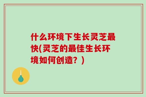 什么环境下生长灵芝最快(灵芝的最佳生长环境如何创造?)-第1张图片-破壁灵芝孢子粉研究指南 什么环境下生长灵芝最快(灵芝的最佳生长环境如何创造?)-第1张图片-破壁灵芝孢子粉研究指南