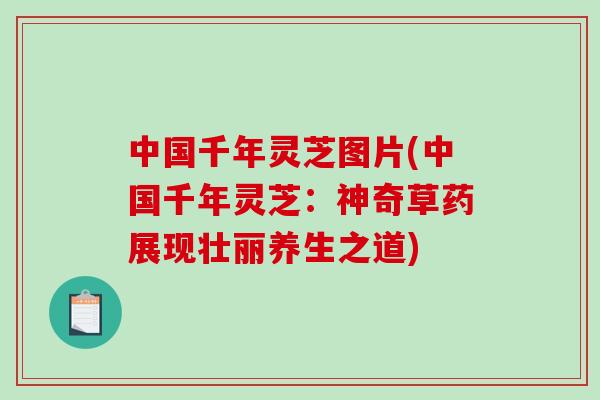 中国千年灵芝图片(中国千年灵芝:神奇草药展现壮丽养生之道)-第1张图片-破壁灵芝孢子粉研究指南 中国千年灵芝图片(中国千年灵芝:神奇草药展现壮丽养生之道)-第1张图片-破壁灵芝孢子粉研究指南