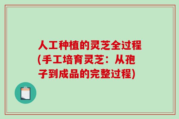人工种植的灵芝全过程(手工培育灵芝:从孢子到成品的完整过程)-第1张图片-破壁灵芝孢子粉研究指南 人工种植的灵芝全过程(手工培育灵芝:从孢子到成品的完整过程)-第1张图片-破壁灵芝孢子粉研究指南