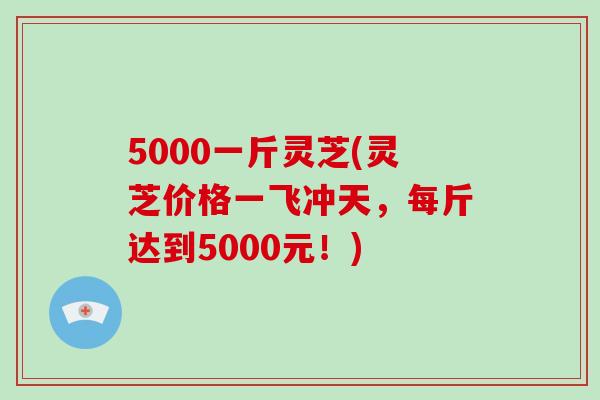 5000一斤灵芝(灵芝价格一飞冲天,每斤达到5000元!)-第1张图片-破壁灵芝孢子粉研究指南 5000一斤灵芝(灵芝价格一飞冲天,每斤达到5000元!)-第1张图片-破壁灵芝孢子粉研究指南