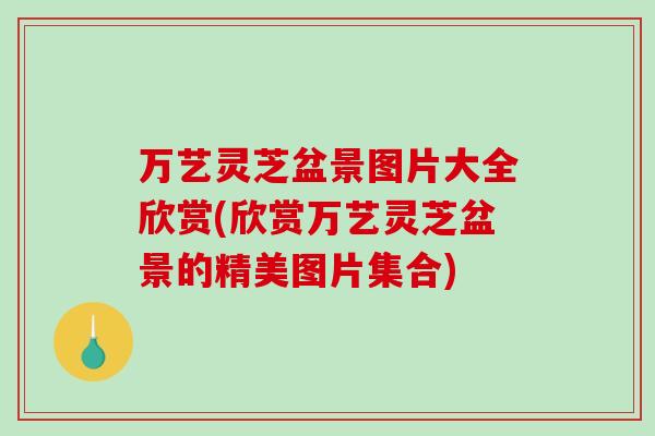 万艺灵芝盆景图片大全欣赏(欣赏万艺灵芝盆景的精美图片集合)-第1张图片-破壁灵芝孢子粉研究指南 万艺灵芝盆景图片大全欣赏(欣赏万艺灵芝盆景的精美图片集合)-第1张图片-破壁灵芝孢子粉研究指南