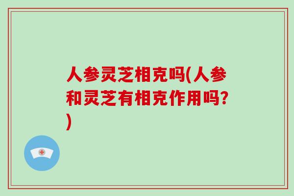 人参灵芝相克吗(人参和灵芝有相克作用吗?)-第1张图片-破壁灵芝孢子粉研究指南 人参灵芝相克吗(人参和灵芝有相克作用吗?)-第1张图片-破壁灵芝孢子粉研究指南