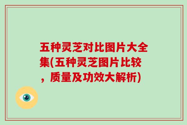 五种灵芝对比图片大全集(五种灵芝图片比较，质量及功效大解析)-第1张图片-破壁灵芝孢子粉研究指南