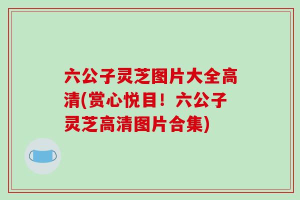 六公子灵芝图片大全高清(赏心悦目！六公子灵芝高清图片合集)-第1张图片-破壁灵芝孢子粉研究指南