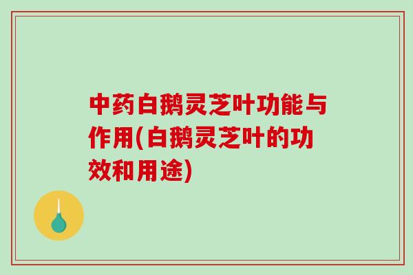 中药白鹅灵芝叶功能与作用(白鹅灵芝叶的功效和用途)-第1张图片-破壁灵芝孢子粉研究指南