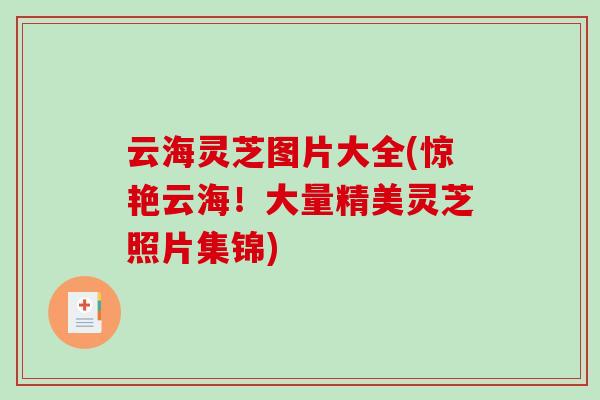 云海灵芝图片大全(惊艳云海!大量精美灵芝照片集锦)-第1张图片-破壁灵芝孢子粉研究指南 云海灵芝图片大全(惊艳云海!大量精美灵芝照片集锦)-第1张图片-破壁灵芝孢子粉研究指南