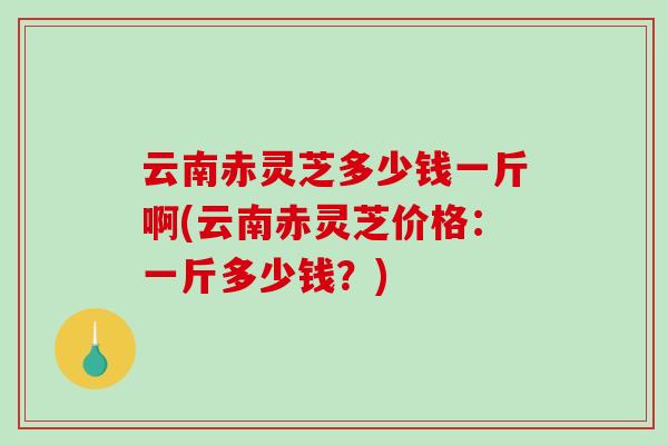 云南赤灵芝多少钱一斤啊(云南赤灵芝价格:一斤多少钱?)-第1张图片-破壁灵芝孢子粉研究指南 云南赤灵芝多少钱一斤啊(云南赤灵芝价格:一斤多少钱?)-第1张图片-破壁灵芝孢子粉研究指南