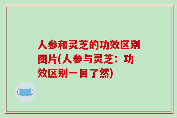 人参和灵芝的功效区别图片(人参与灵芝:功效区别一目了然)-第1张图片-破壁灵芝孢子粉研究指南 人参和灵芝的功效区别图片(人参与灵芝:功效区别一目了然)-第1张图片-破壁灵芝孢子粉研究指南