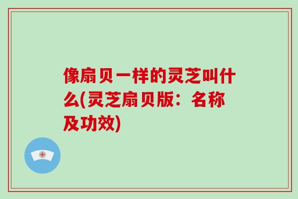像扇贝一样的灵芝叫什么(灵芝扇贝版：名称及功效)-第1张图片-破壁灵芝孢子粉研究指南