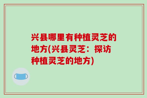 兴县哪里有种植灵芝的地方(兴县灵芝：探访种植灵芝的地方)-第1张图片-破壁灵芝孢子粉研究指南
