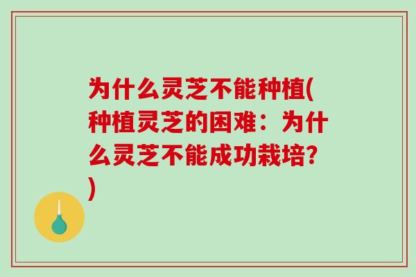 为什么灵芝不能种植(种植灵芝的困难:为什么灵芝不能成功栽培?)-第1张图片-破壁灵芝孢子粉研究指南 为什么灵芝不能种植(种植灵芝的困难:为什么灵芝不能成功栽培?)-第1张图片-破壁灵芝孢子粉研究指南