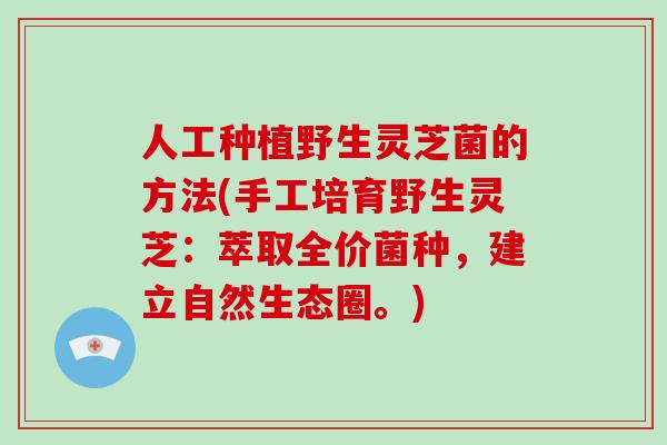人工种植野生灵芝菌的方法(手工培育野生灵芝:萃取全价菌种,建立自然生态圈。)-第1张图片-破壁灵芝孢子粉研究指南 人工种植野生灵芝菌的方法(手工培育野生灵芝:萃取全价菌种,建立自然生态圈。)-第1张图片-破壁灵芝孢子粉研究指南