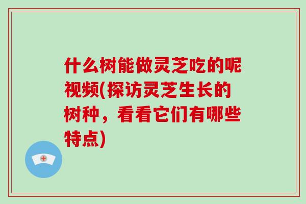 什么树能做灵芝吃的呢视频(探访灵芝生长的树种,看看它们有哪些特点)-第1张图片-破壁灵芝孢子粉研究指南 什么树能做灵芝吃的呢视频(探访灵芝生长的树种,看看它们有哪些特点)-第1张图片-破壁灵芝孢子粉研究指南