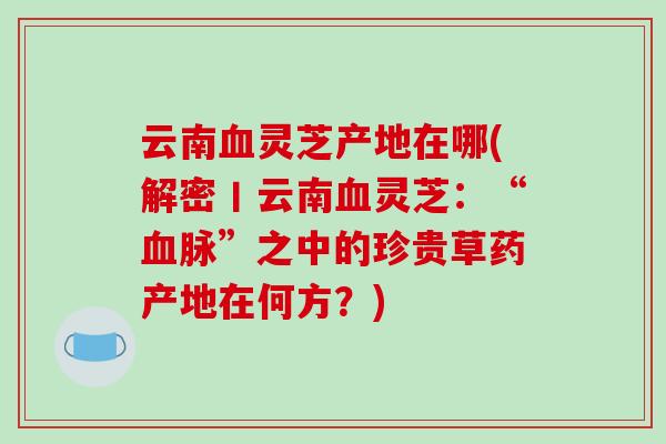云南血灵芝产地在哪(解密丨云南血灵芝:“血脉”之中的珍贵草药产地在何方?)-第1张图片-破壁灵芝孢子粉研究指南 云南血灵芝产地在哪(解密丨云南血灵芝:“血脉”之中的珍贵草药产地在何方?)-第1张图片-破壁灵芝孢子粉研究指南