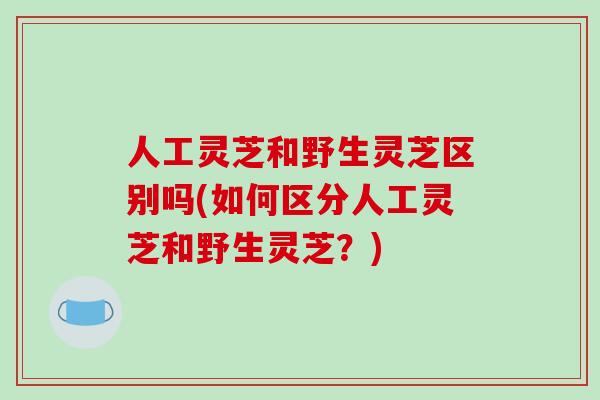 人工灵芝和野生灵芝区别吗(如何区分人工灵芝和野生灵芝?)-第1张图片-破壁灵芝孢子粉研究指南 人工灵芝和野生灵芝区别吗(如何区分人工灵芝和野生灵芝?)-第1张图片-破壁灵芝孢子粉研究指南
