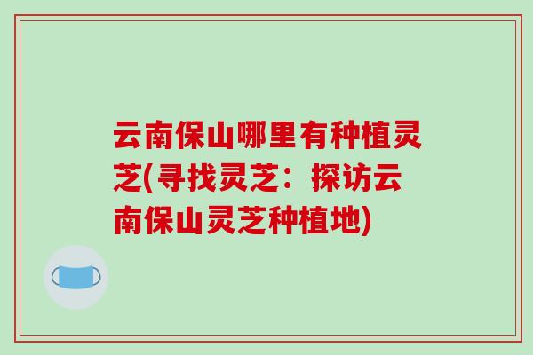 云南保山哪里有种植灵芝(寻找灵芝:探访云南保山灵芝种植地)-第1张图片-破壁灵芝孢子粉研究指南 云南保山哪里有种植灵芝(寻找灵芝:探访云南保山灵芝种植地)-第1张图片-破壁灵芝孢子粉研究指南