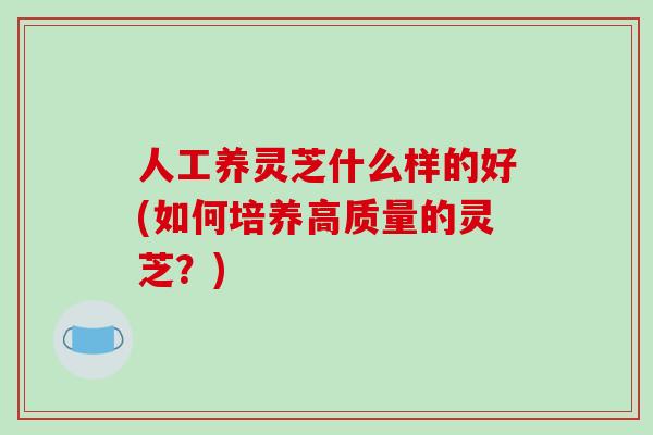 人工养灵芝什么样的好(如何培养高质量的灵芝?)-第1张图片-破壁灵芝孢子粉研究指南 人工养灵芝什么样的好(如何培养高质量的灵芝?)-第1张图片-破壁灵芝孢子粉研究指南