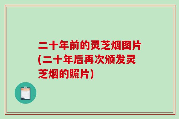 二十年前的灵芝烟图片(二十年后再次颁发灵芝烟的照片)-第1张图片-破壁灵芝孢子粉研究指南