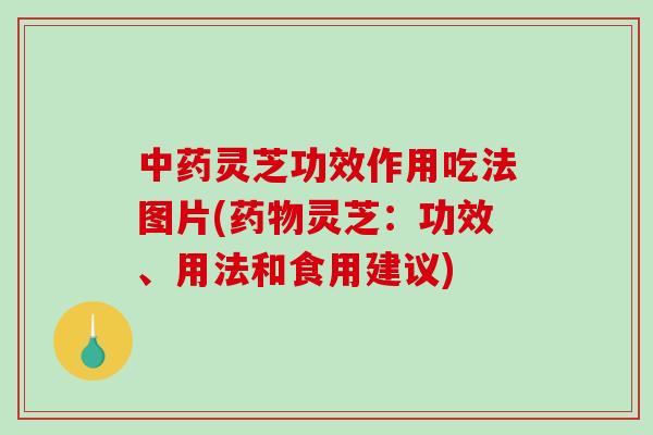 中药灵芝功效作用吃法图片(药物灵芝:功效、用法和食用建议)-第1张图片-破壁灵芝孢子粉研究指南 中药灵芝功效作用吃法图片(药物灵芝:功效、用法和食用建议)-第1张图片-破壁灵芝孢子粉研究指南