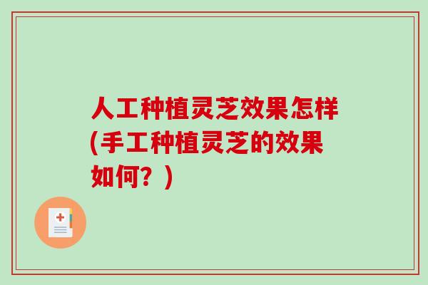 人工种植灵芝效果怎样(手工种植灵芝的效果如何？)-第1张图片-破壁灵芝孢子粉研究指南