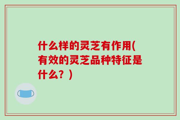 什么样的灵芝有作用(有效的灵芝品种特征是什么？)-第1张图片-破壁灵芝孢子粉研究指南