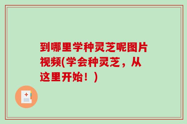 到哪里学种灵芝呢图片视频(学会种灵芝,从这里开始!)-第1张图片-破壁灵芝孢子粉研究指南 到哪里学种灵芝呢图片视频(学会种灵芝,从这里开始!)-第1张图片-破壁灵芝孢子粉研究指南