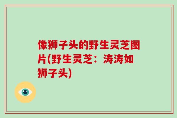 像狮子头的野生灵芝图片(野生灵芝：涛涛如狮子头)-第1张图片-破壁灵芝孢子粉研究指南