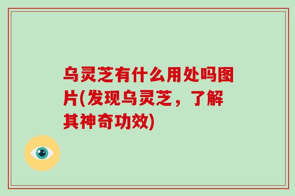乌灵芝有什么用处吗图片(发现乌灵芝,了解其神奇功效)-第1张图片-破壁灵芝孢子粉研究指南 乌灵芝有什么用处吗图片(发现乌灵芝,了解其神奇功效)-第1张图片-破壁灵芝孢子粉研究指南