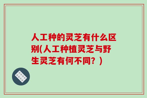 人工种的灵芝有什么区别(人工种植灵芝与野生灵芝有何不同?)-第1张图片-破壁灵芝孢子粉研究指南 人工种的灵芝有什么区别(人工种植灵芝与野生灵芝有何不同?)-第1张图片-破壁灵芝孢子粉研究指南