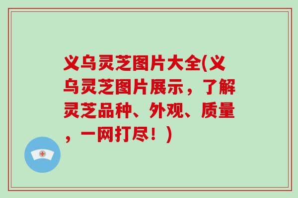 义乌灵芝图片大全(义乌灵芝图片展示，了解灵芝品种、外观、质量，一网打尽！)-第1张图片-破壁灵芝孢子粉研究指南