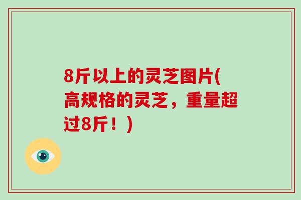8斤以上的灵芝图片(高规格的灵芝,重量超过8斤!)-第1张图片-破壁灵芝孢子粉研究指南 8斤以上的灵芝图片(高规格的灵芝,重量超过8斤!)-第1张图片-破壁灵芝孢子粉研究指南