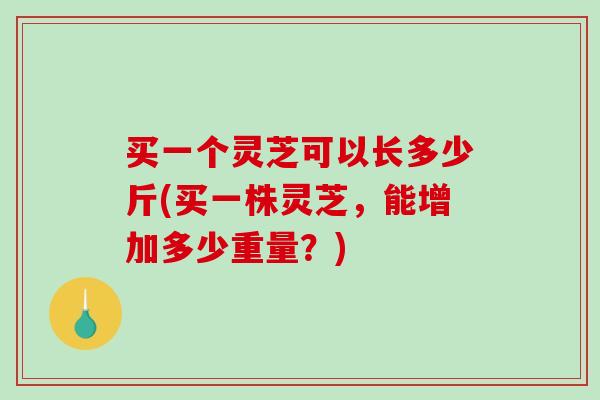 买一个灵芝可以长多少斤(买一株灵芝,能增加多少重量?)-第1张图片-破壁灵芝孢子粉研究指南 买一个灵芝可以长多少斤(买一株灵芝,能增加多少重量?)-第1张图片-破壁灵芝孢子粉研究指南