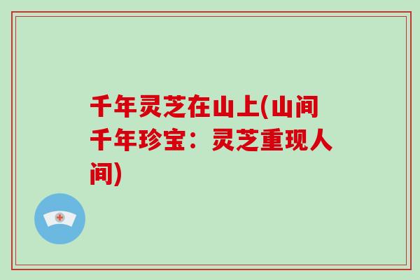 千年灵芝在山上(山间千年珍宝：灵芝重现人间)-第1张图片-破壁灵芝孢子粉研究指南