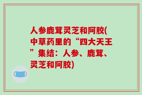 人参鹿茸灵芝和阿胶(中草药里的“四大天王”集结：人参、鹿茸、灵芝和阿胶)-第1张图片-破壁灵芝孢子粉研究指南