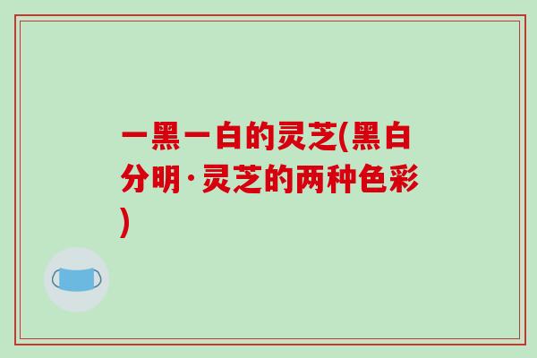 一黑一白的灵芝(黑白分明·灵芝的两种色彩)-第1张图片-破壁灵芝孢子粉研究指南 一黑一白的灵芝(黑白分明·灵芝的两种色彩)-第1张图片-破壁灵芝孢子粉研究指南