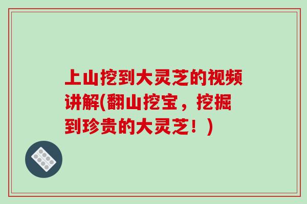 上山挖到大灵芝的视频讲解(翻山挖宝，挖掘到珍贵的大灵芝！)-第1张图片-破壁灵芝孢子粉研究指南
